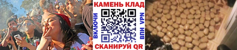 ГАШ ice o lator  Георгиевск 