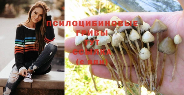 MDMA Аркадак