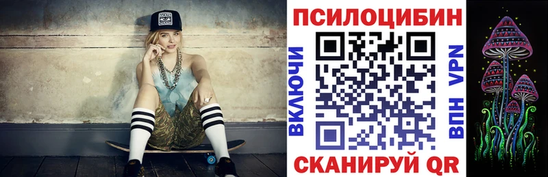 Псилоцибиновые грибы мухоморы купить наркотики цена Георгиевск