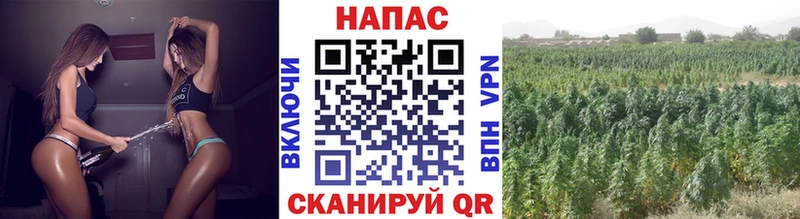 Конопля Bruce Banner сколько стоит Георгиевск